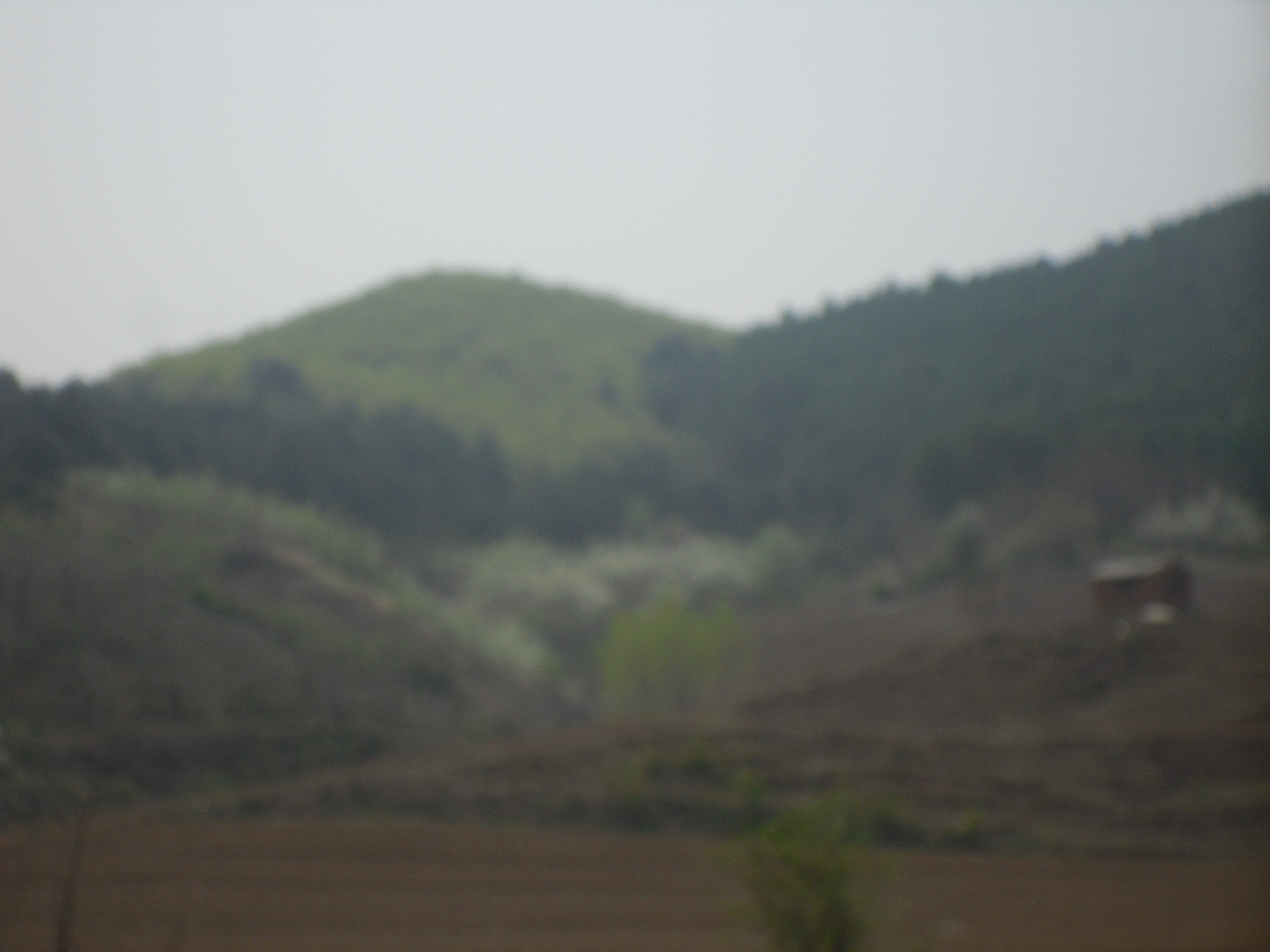 6̖ в(zhn)ɽʹÙ(qun)Ϲ